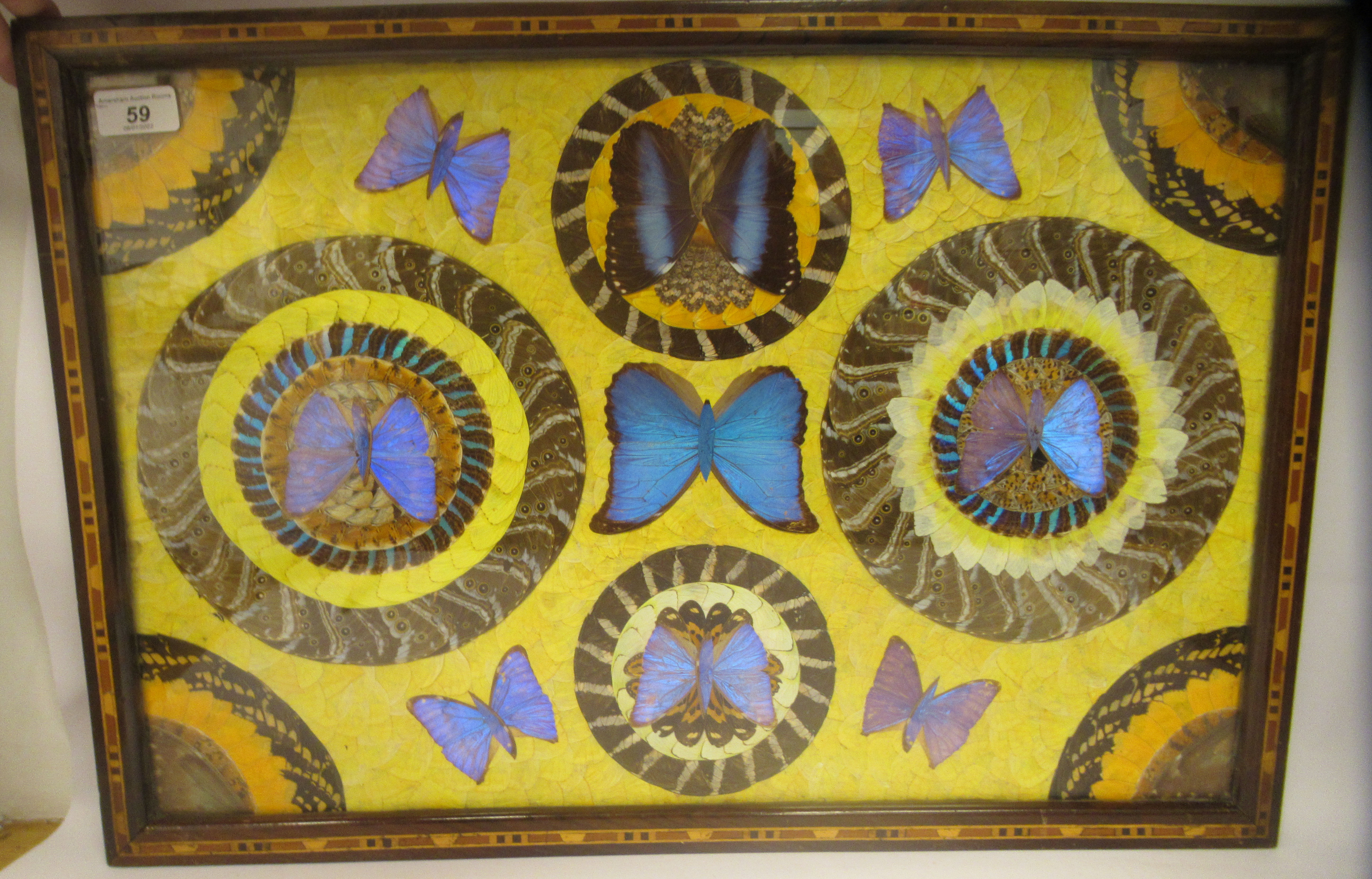 A 1930s butterfly wingware picture, arranged in geometric form in a glazed, marquetry frame  17" x