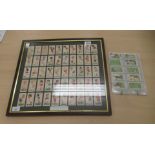 1920s John Player & Sons cigarette cards, mainly football themed  one set framed 16" x 14"