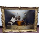 E Armfield - a scullery scene, featuring three terriers around an earthenware crock  oil on