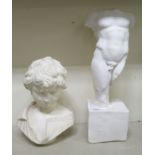 A plaster model, a male torso  17"h; and a composition bust, a young boy  11"h