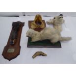 Taxidermy: to include an albino stoat  6"h