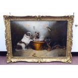 E Armfield - a scullery scene, featuring three terriers around an earthenware crock  oil on