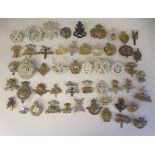 Approx. fifty military cap badges and other insignia, some copies: to include Herefordshire;