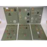 Approx. fifty-five regimental cap badges and other insignia, some copies: to include 14th County