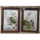 A pair of 20thC Chinese painted porcelain plaques, depicting birds and flora  14" x 9"  framed