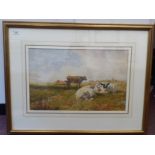 Charles Collins - cattle in a field with village buildings beyond  watercolour  bears a signature