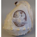 A 19thC conch shell, carved in relief with a classically inspired, oval allegorical head and