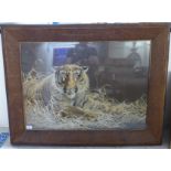 A 20thC (possibly Chinese School) embroidered picture, a seated tiger  33" x 23"  framed