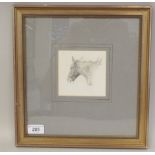 20thC British School - a study of a working horse's head  pencil drawing  bears a Lucy Kemp-Welch