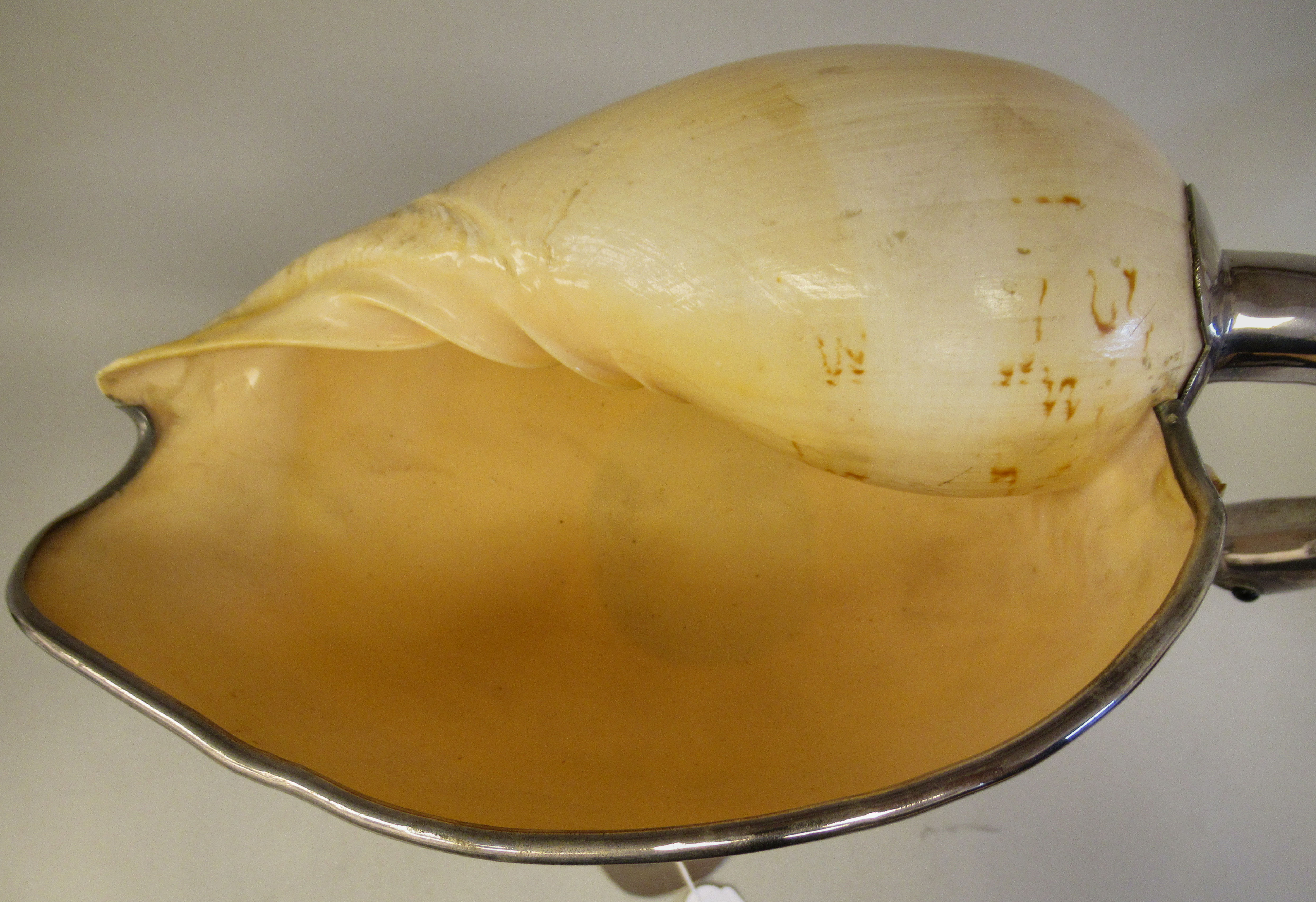 A 1970s Gabriella Binazzi white metal and shell sculpture, a wading bird  bears an impressed mark - Image 5 of 8