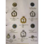 An album collection of fully identified British military badges, some copies: comprising The Royal