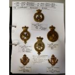 An album collection of fully identified, mainly Irish military badges, some copies: to include The