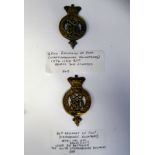 An album collection of fully identified British military badges, some copies, comprising