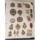 An album collection of fully identified British military badges, some copies: to include National