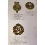 An album collection of fully identified British military badges, some copies, comprising Hampshire