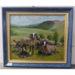 P Rachet - ewes and lambs in a field  oil on board  bears a signature & dated 1984  14" x 18"