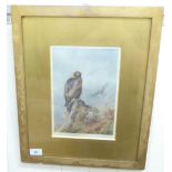 After Archibald Thorburn - an eagle on a rock  coloured print  bears a pencil signature  7" x 9"