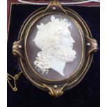 An antique cameo brooch, set in a gold plated frame