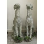 A pair of composition stone garden ornaments, seated greyhounds  31"h