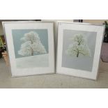After P&B Sladen - 'Oak & Snow' and 'Oak after Snow'  Limited Edition coloured prints 55/80  bears