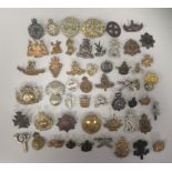 Approx. fifty military cap badges and other insignia, some copies: to include Women's Transport