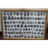 Over ninety military cap badges and other insignia, some copies: to include 1st Battalion, Blackpool