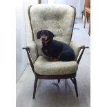 An Ercol dark stained beech and elm framed armchair with floral patterned cushioned fabric back,