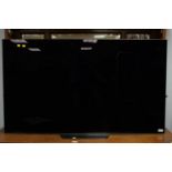 Sony Bravia 55in. flat screen tv.