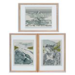 Maryann Scott - lithographs