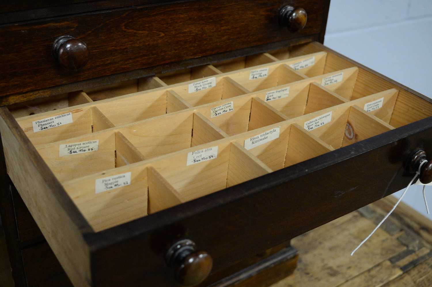 An early 20th C miniature chest of six drawers. - Bild 3 aus 4