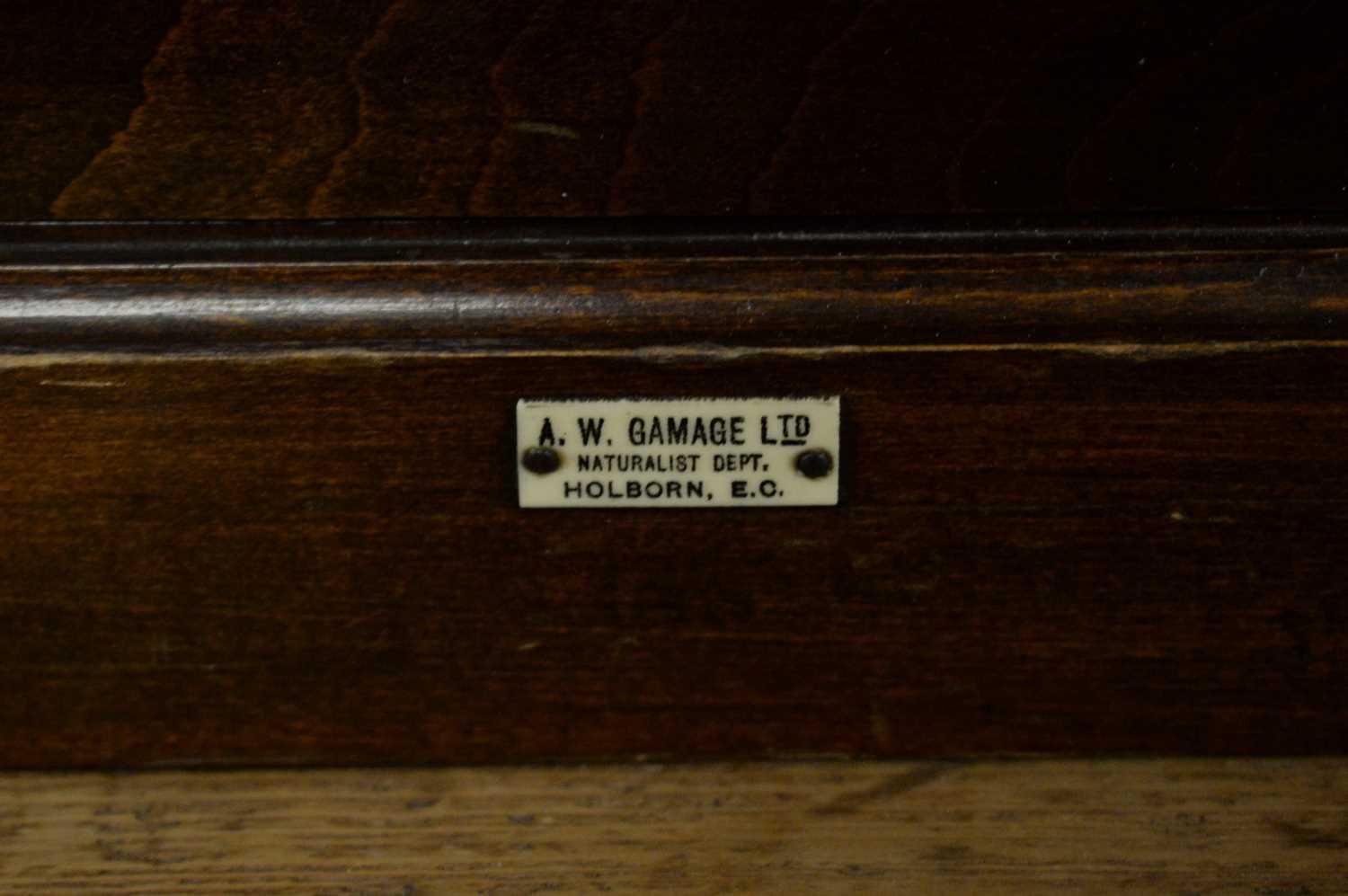 An early 20th C miniature chest of six drawers. - Bild 2 aus 4