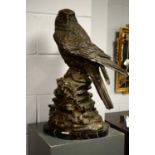 A 20th Century bronzed sculpture of an eagle.