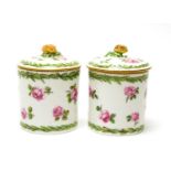 Pair Sevres preserve jars and covers
