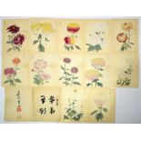 Keika Hasegawa (active 1892-1905) 16 woodblock prints chrysanthemums