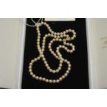 A double row cultured pearl necklace,