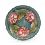 Moorcroft Waratah dish