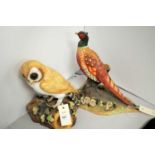 A Royal Crown Derby barn owl, together with a Royal Crown Derby pheasant.