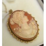 A carved shell cameo brooch/pendant,