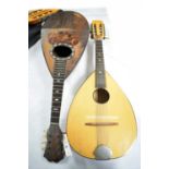 Two various mandolins.