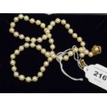 A single strand cultured pearl necklace,