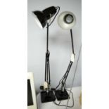 A pair of anglepoise desk lamps