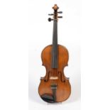 Violin labelled Carlo Storioni