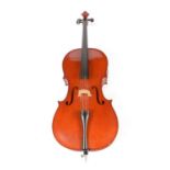 Benedikt Lang Cello cased