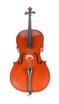Benedikt Lang Cello cased