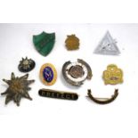 A selection of enamelled and other vintage badges.