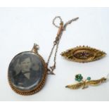Brooches and picture pendant/brooch