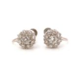 A pair of diamond cluster earrings,