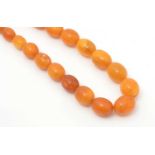 A single row amber bead necklace,