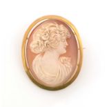 A carved shell cameo brooch,