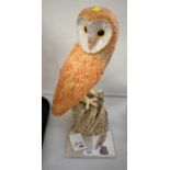 Composition barn owl boxed